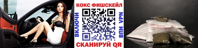 продажа наркотиков  Карачев  COCAIN Эквадор 