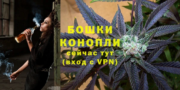 крисы Верхний Тагил