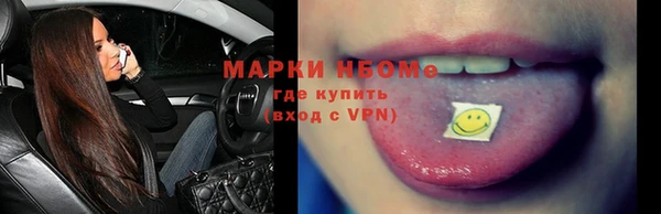 крисы Верхний Тагил