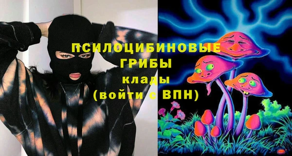 ешки Бородино