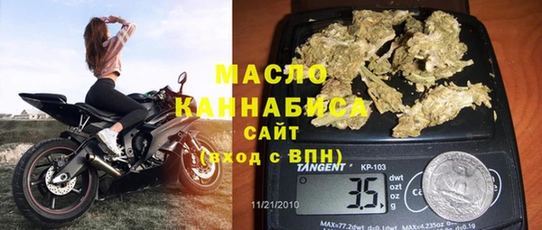 крисы Верхний Тагил