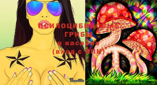 крисы Верхний Тагил