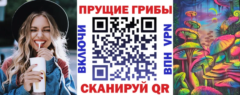 MEGA Карачев Псилоцибиновые грибы Magic Shrooms как найти